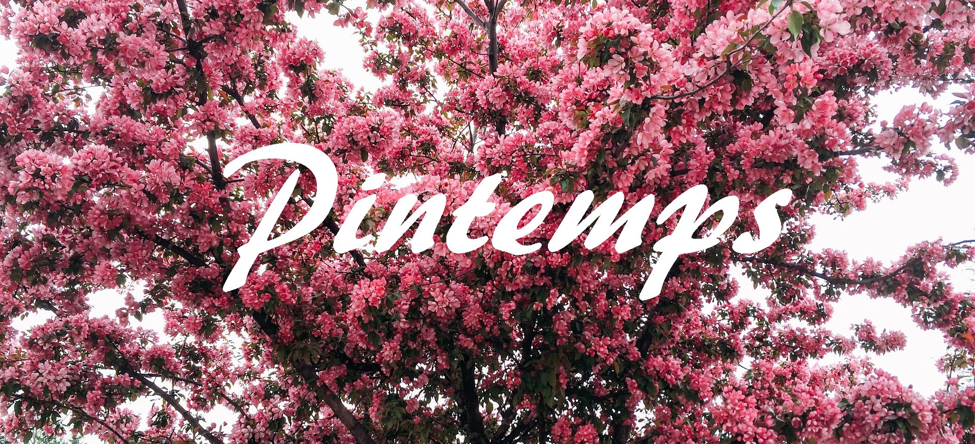 Bomber femme : Mes mod?�les favoris d?�crypt?�s - E-Nuage